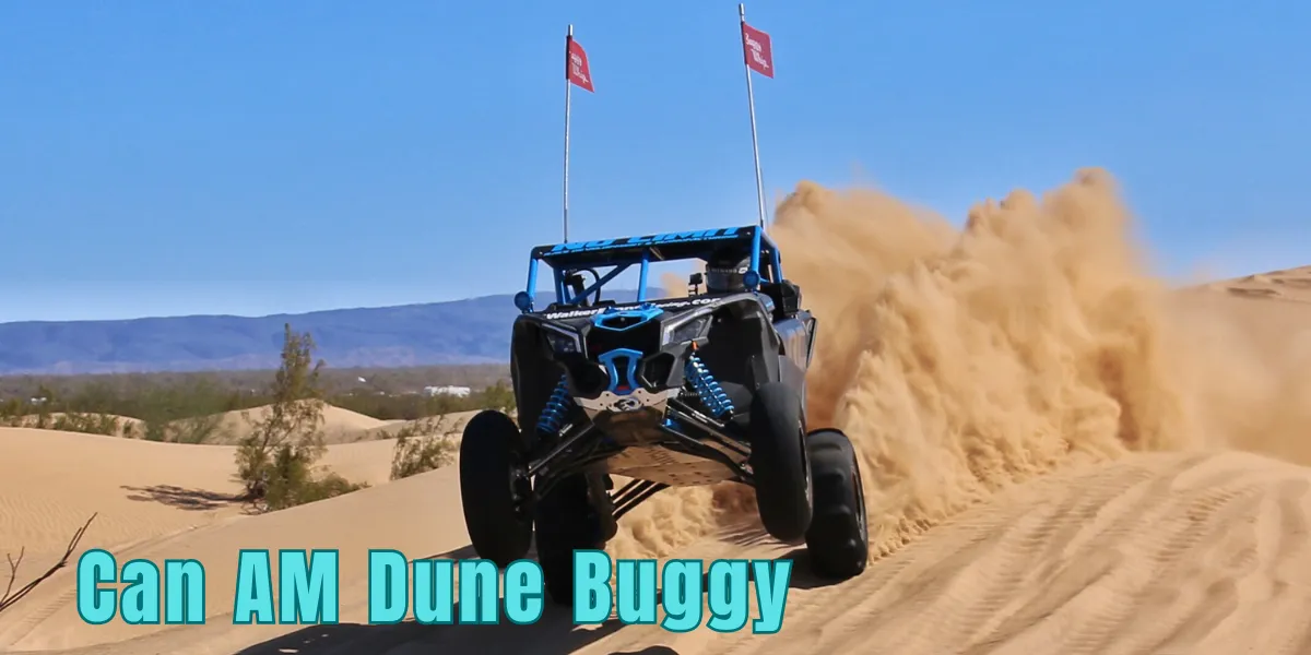 Can AM Dune Buggy