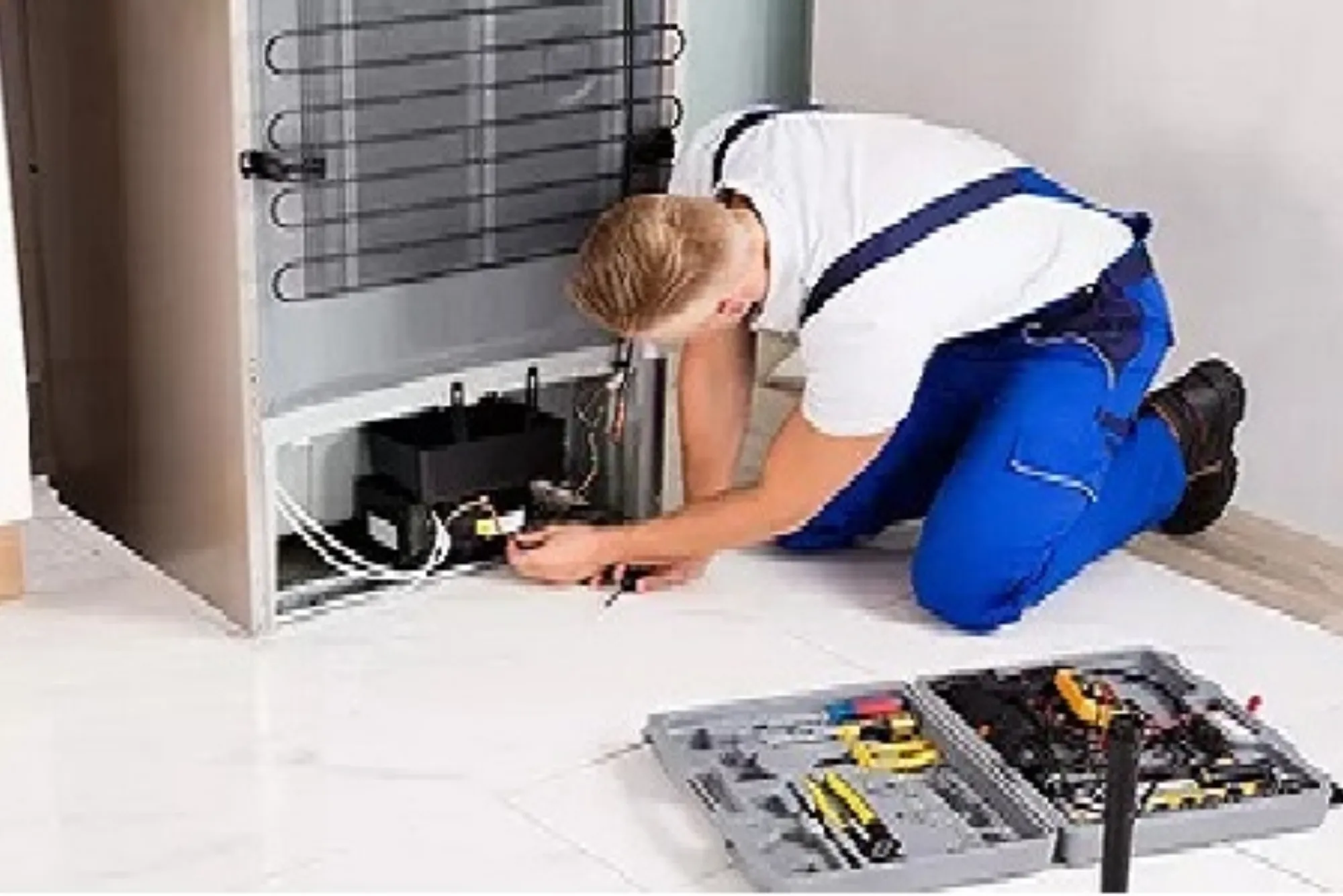 Fridge Repair Near Me Finding the Best Service Providers