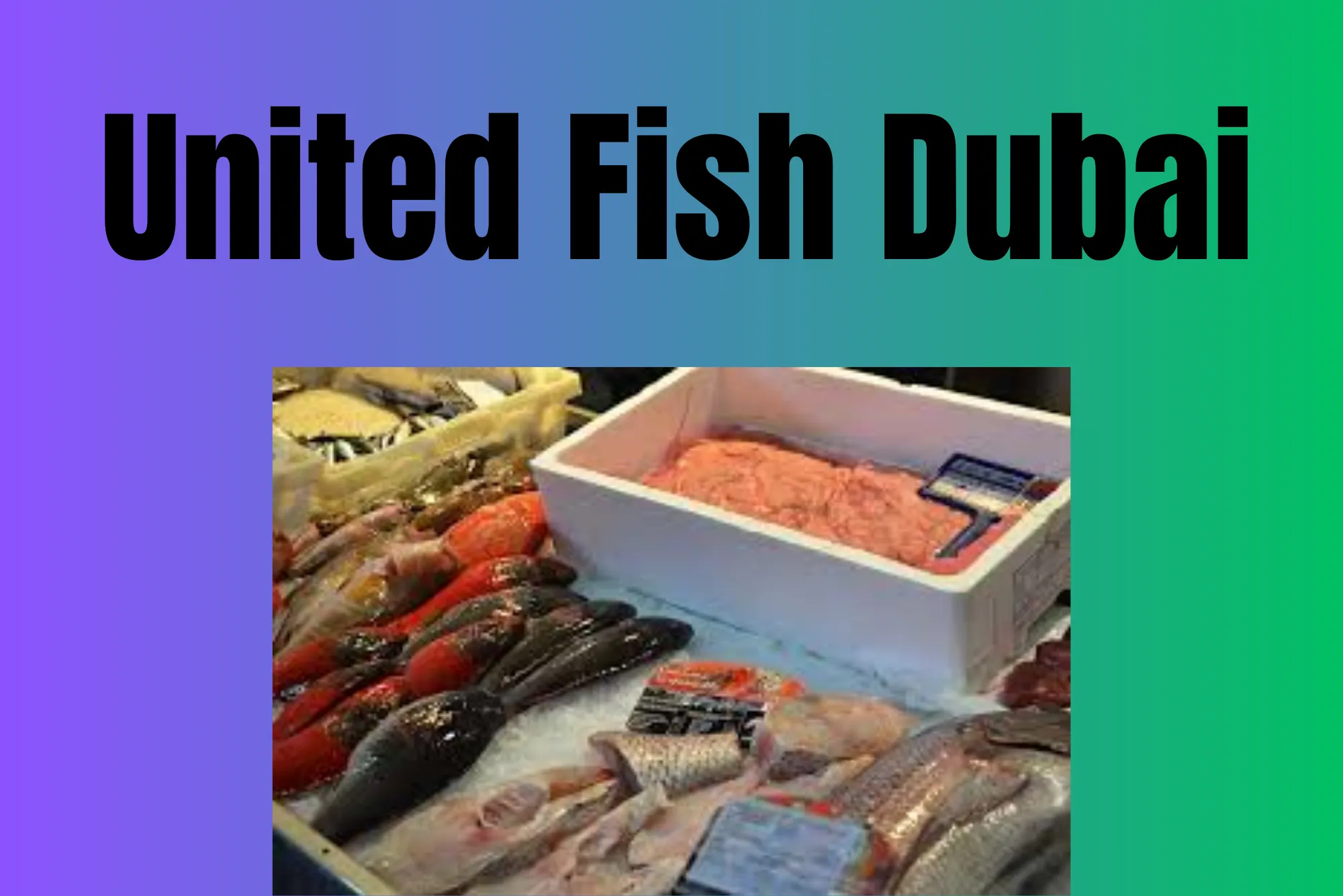 Top Benefits of Buying from United Fish Dubai