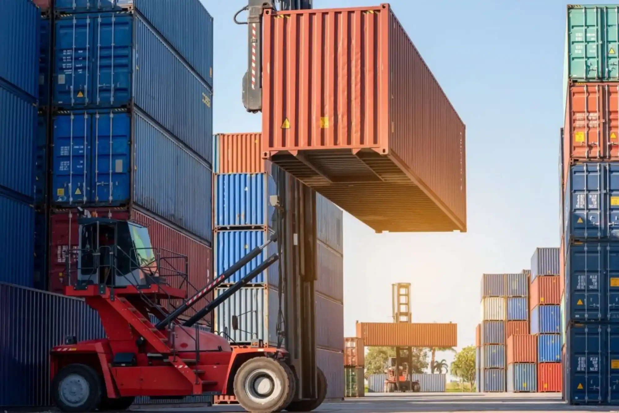 Trusted Buddy Movers Cargo Reviews Riyadh Cargo Services