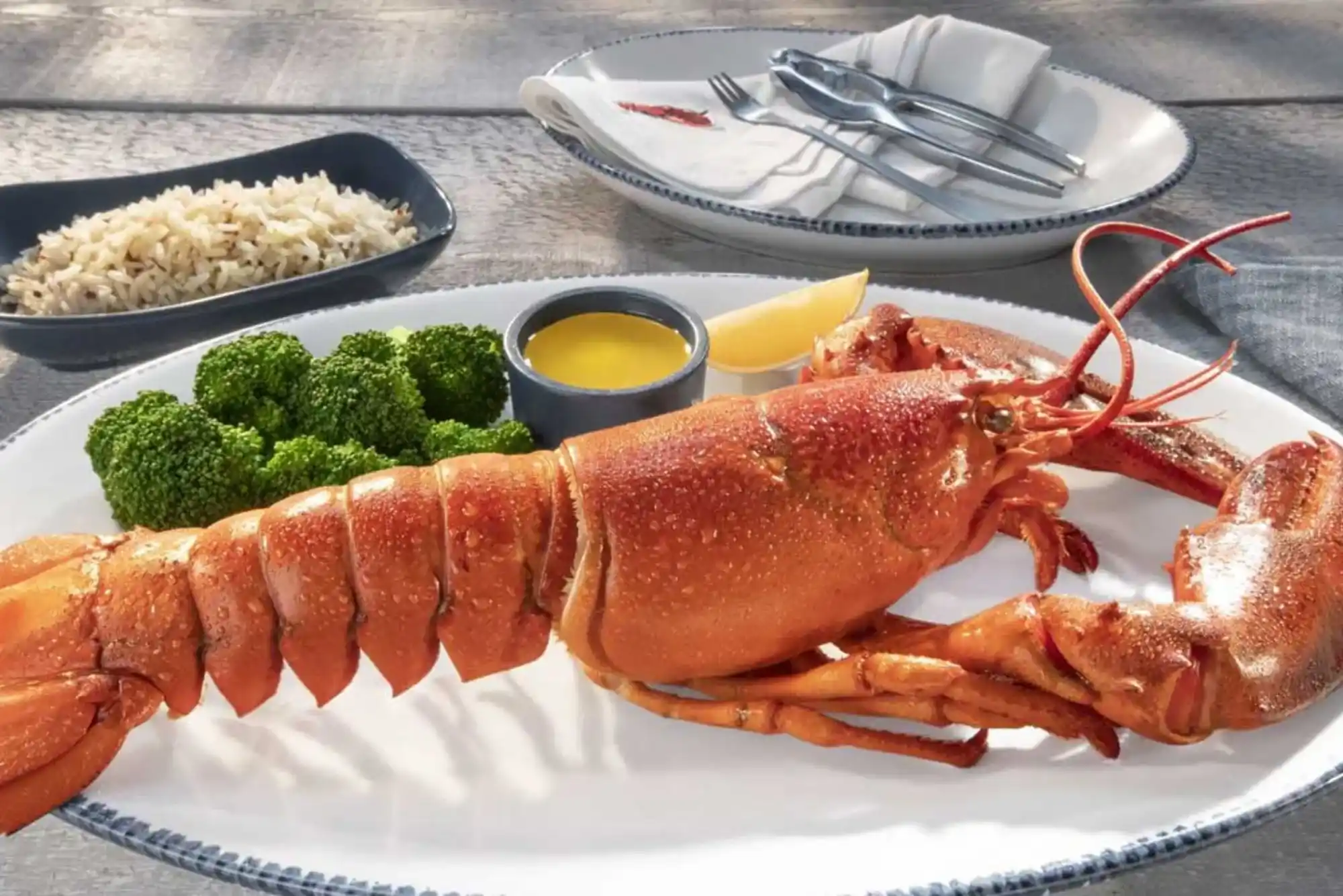 How to and Best Guide for Lobster in Dubai | United Fish UAE