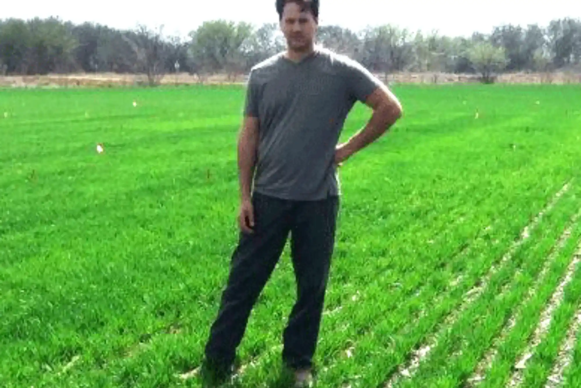 Crop Yield Calculator: Worth It or Not?